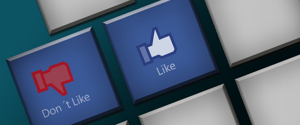 Social Media: Like or Dislike